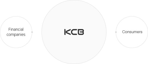 KCB - Financial companies, Consumers